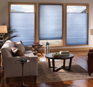 blue_living_room_shades