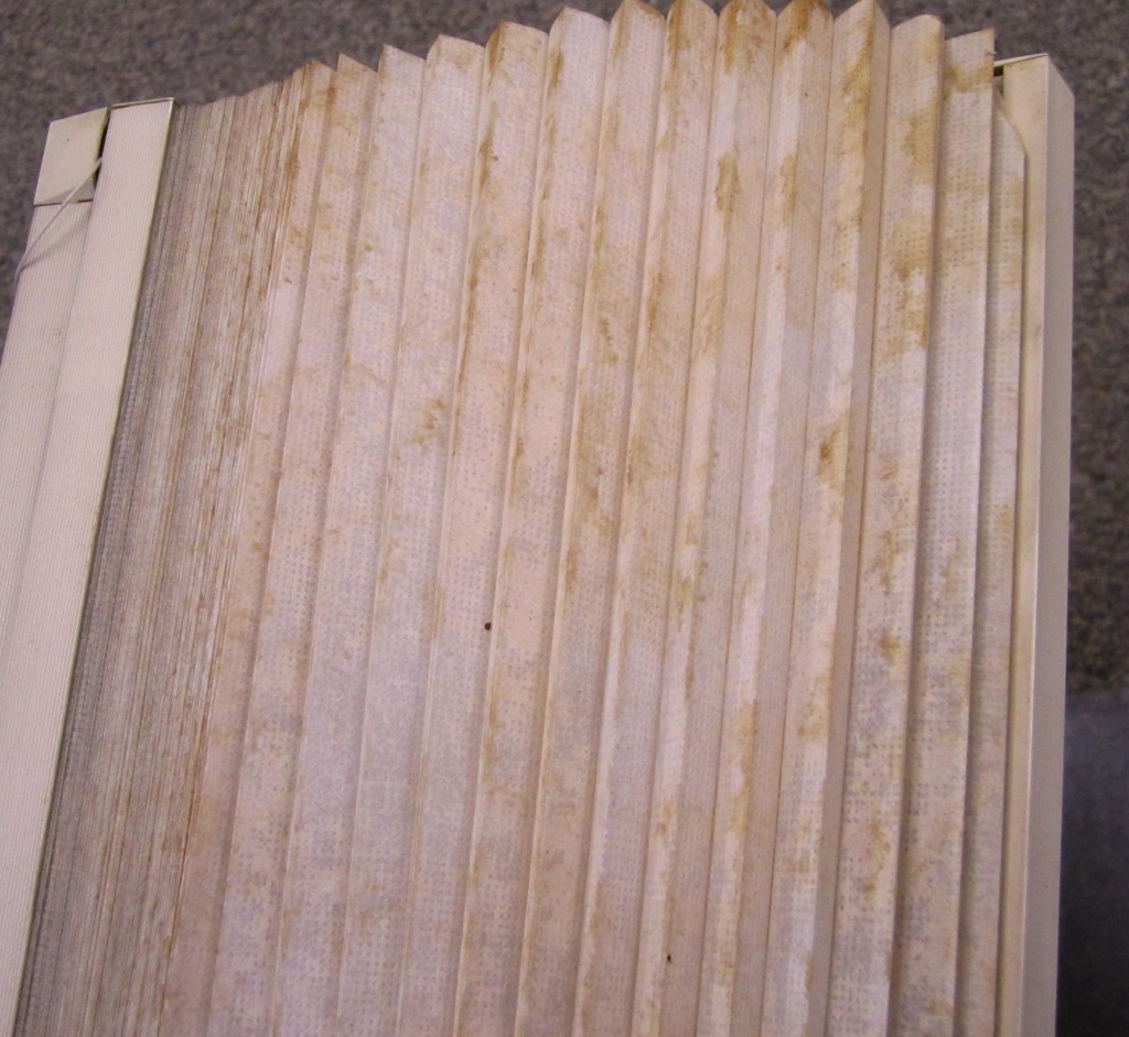 Is Your Blind Past It 